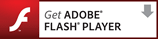 zum Download Flash-Player